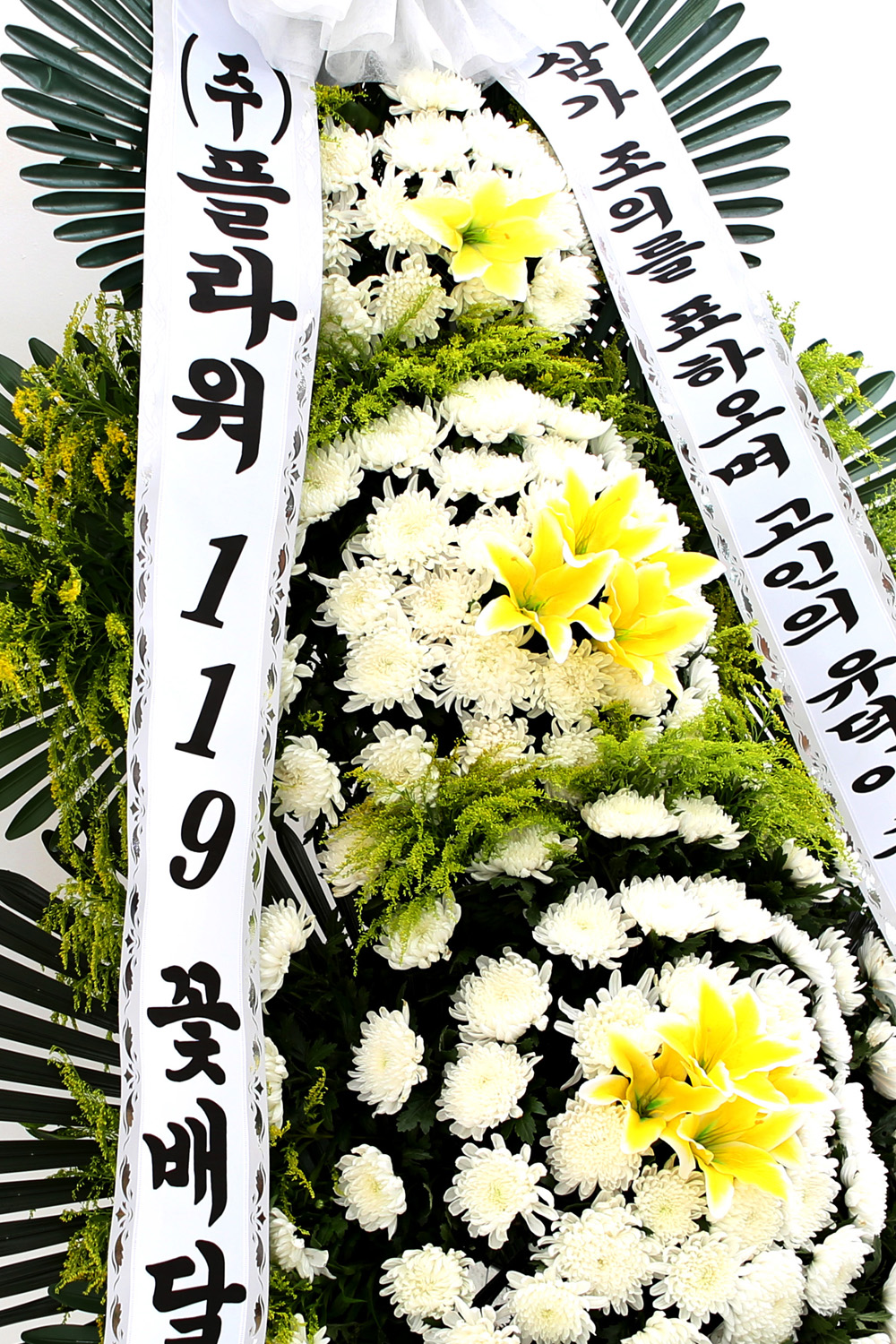  3 ȭȯ ( ) -   ļ ̾...