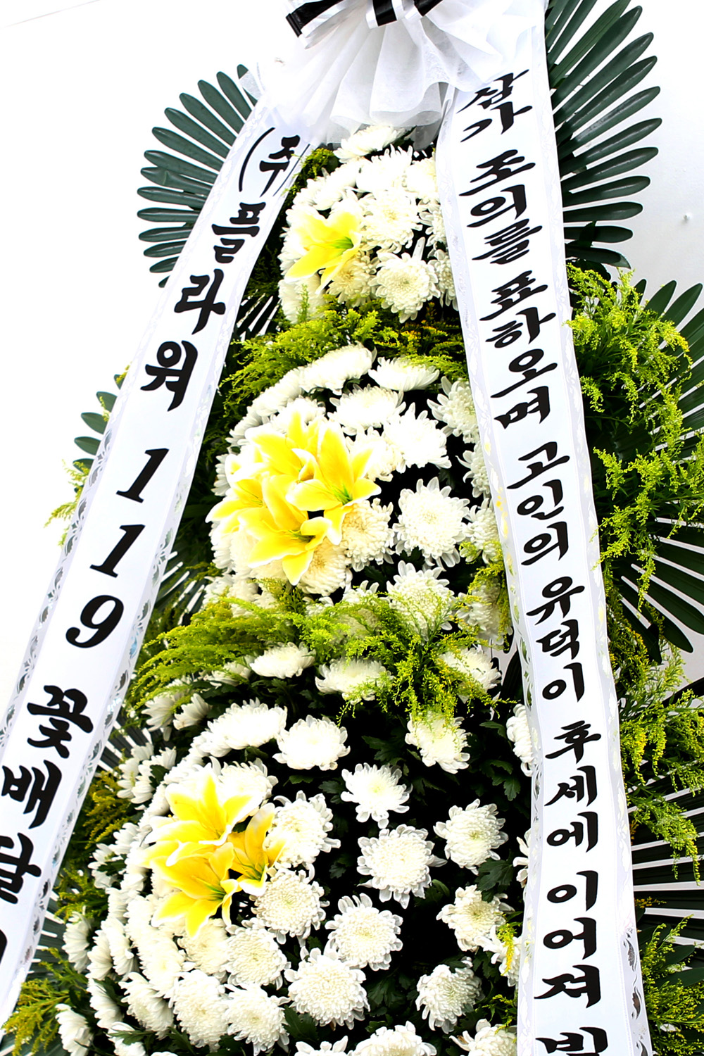  3 ȭȯ ( ) -   ļ ̾...