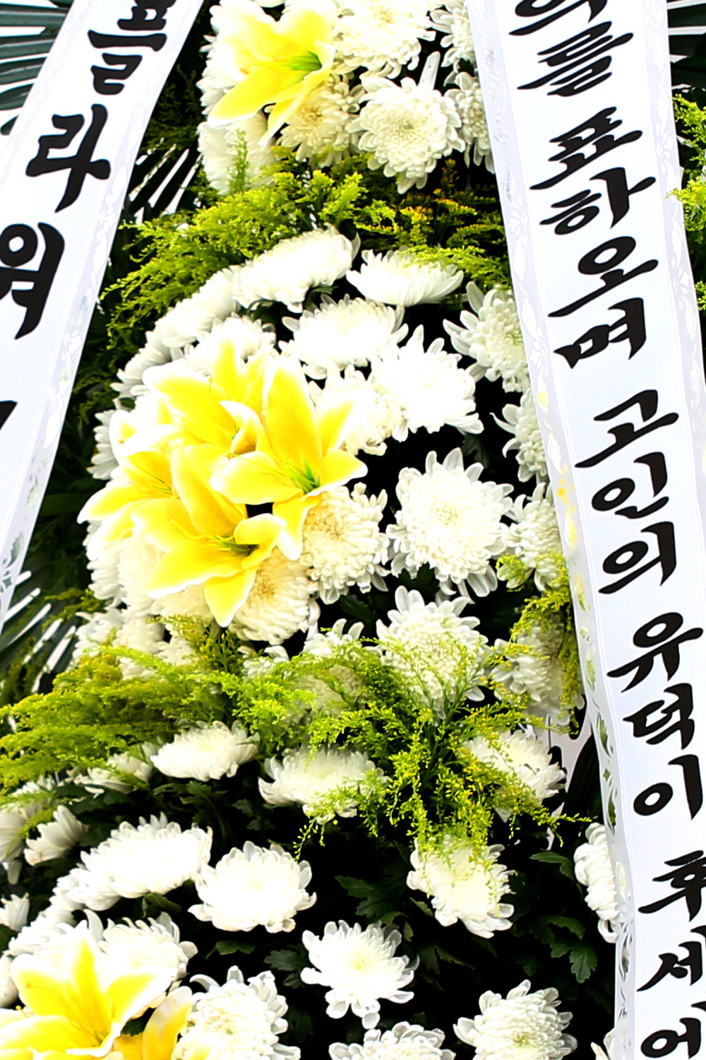  3 ȭȯ ( ) -   ļ ̾...