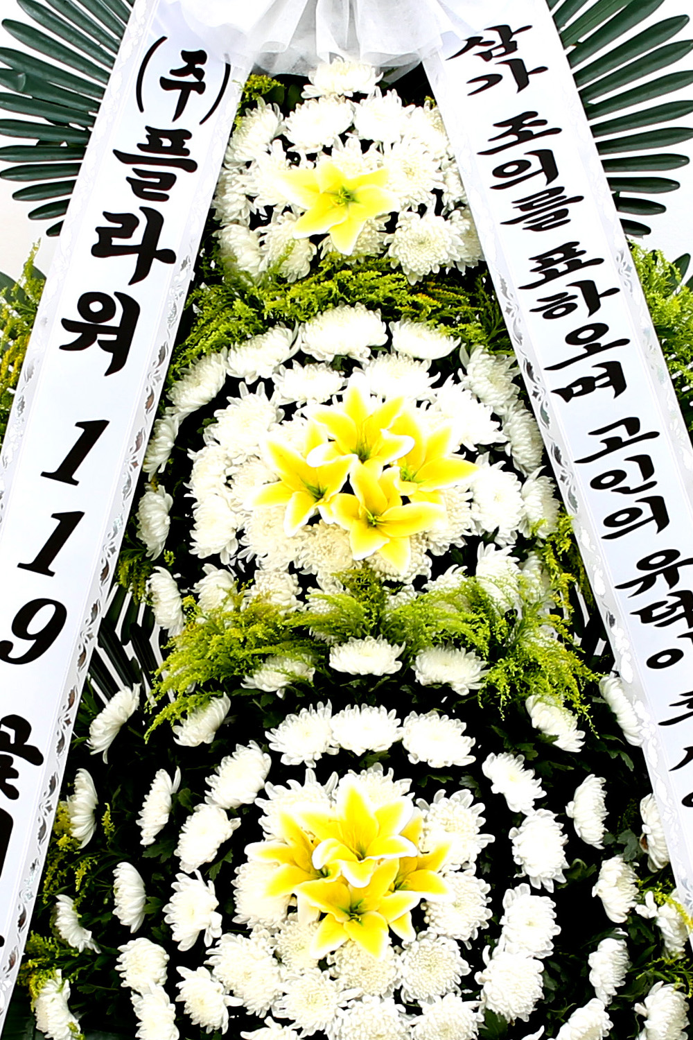  3 ȭȯ ( ) -   ļ ̾...