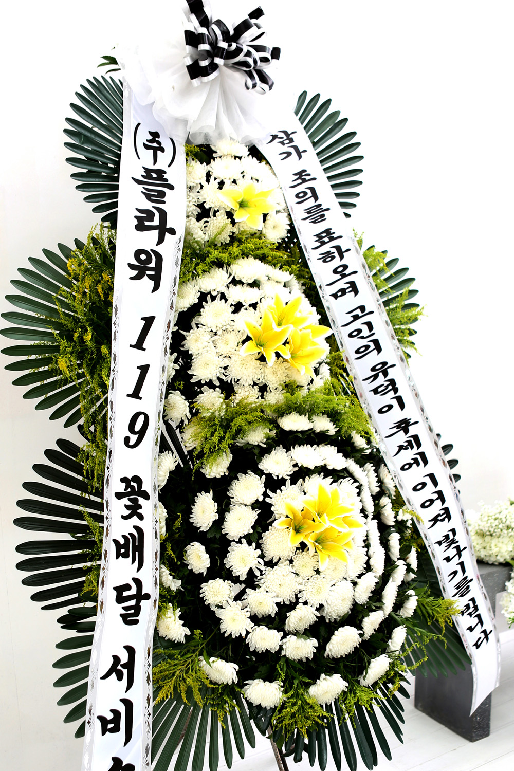  3 ȭȯ ( ) -   ļ ̾...