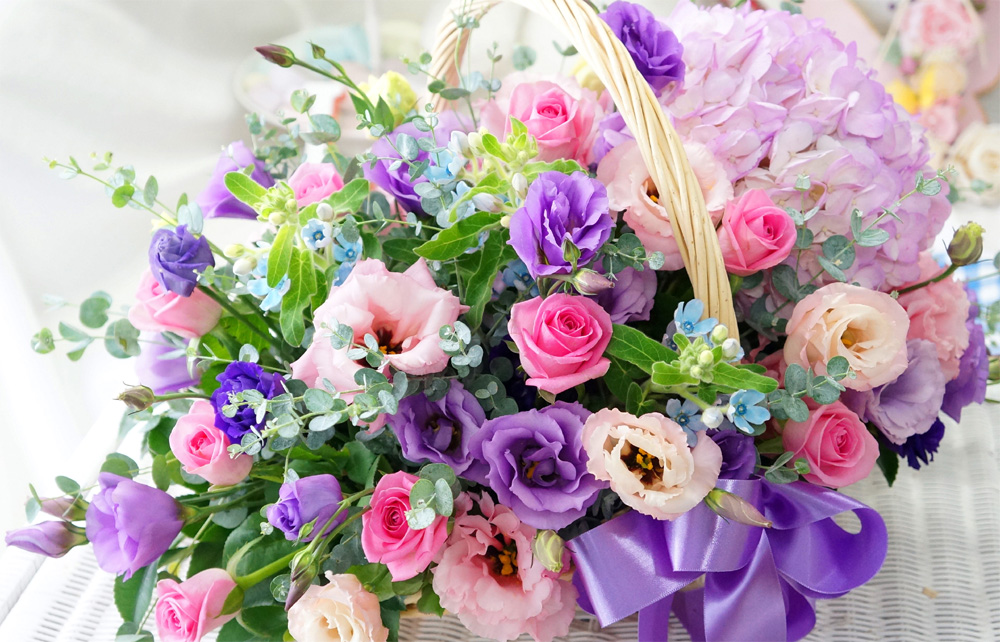 ¾Æ¸§´Ù¿î ²É - ³² ÇØ