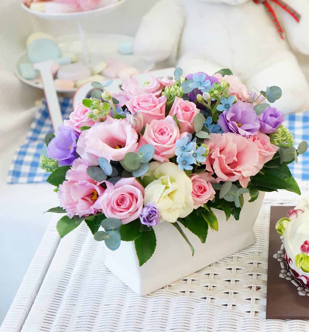 Ͽ ϸ -ũԲ  - PINK anniversary  ɹ