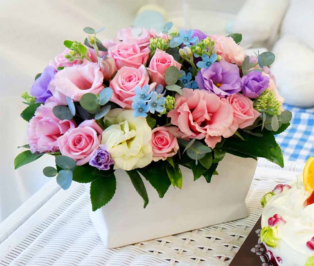 Ͽ ϸ -ũԲ  - PINK anniversary  ɹ