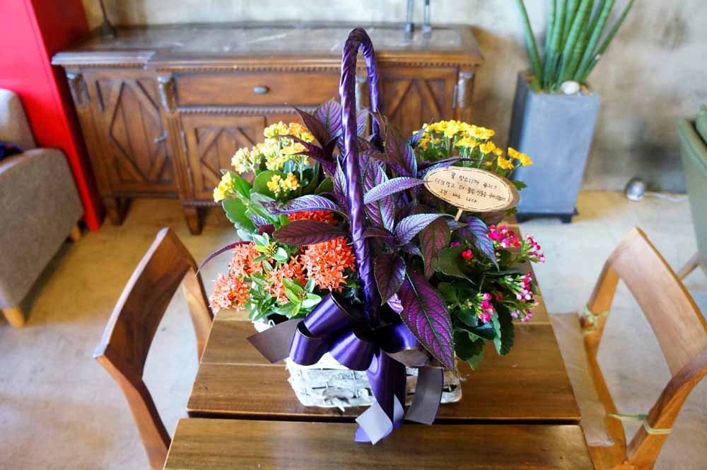 [ȭĹ]Garden gift basket -  It's always a good time!- ü  ɹ