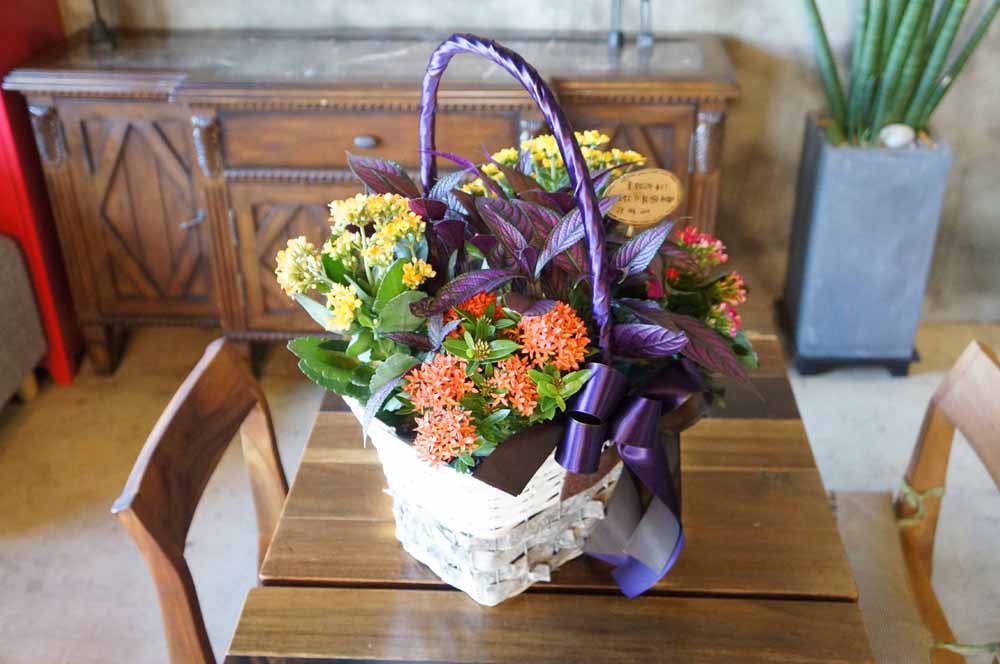 [ȭĹ]Garden gift basket -  It's always a good time!- ü  ɹ