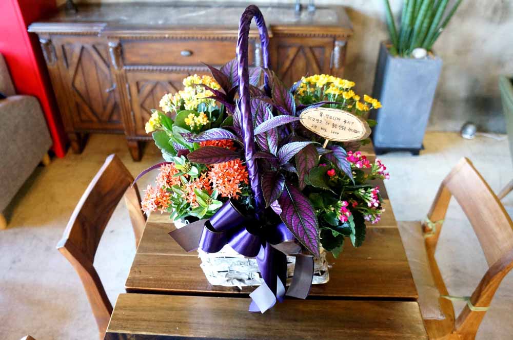 [ȭĹ]Garden gift basket -  It's always a good time!- ü  ɹ
