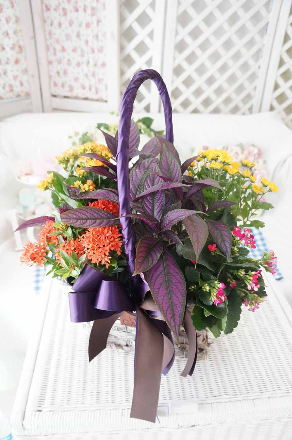 [ȭĹ]Garden gift basket -  It's always a good time!- ü  ɹ