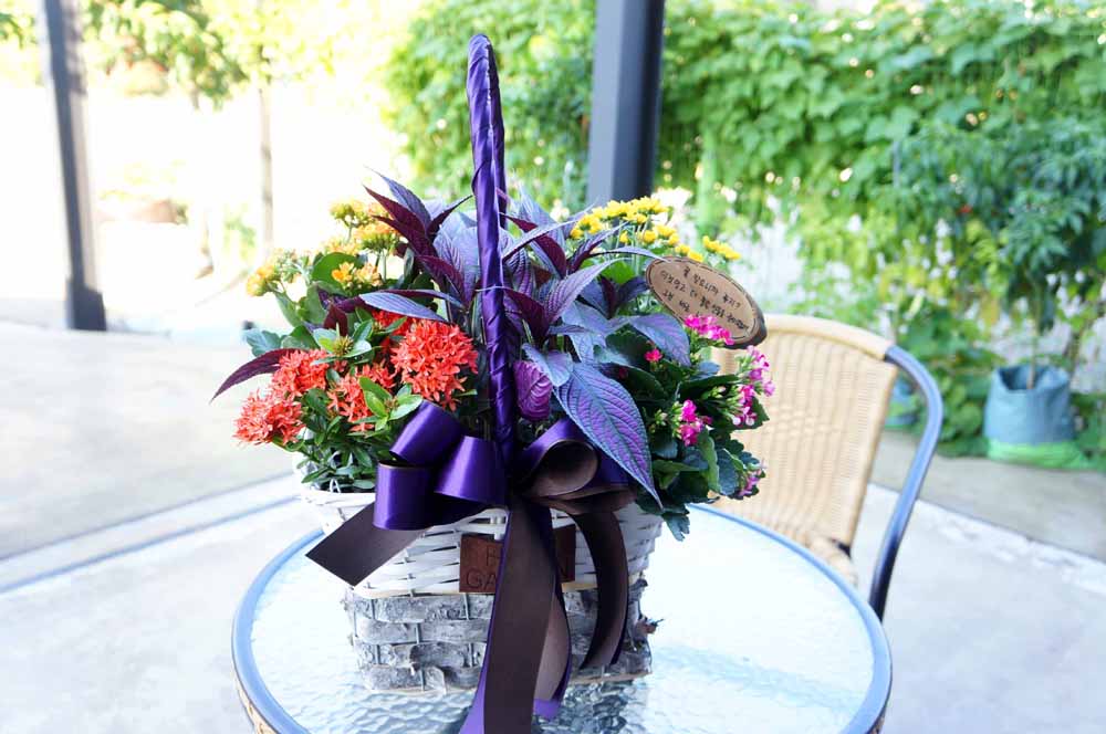 [ȭĹ]Garden gift basket -  It's always a good time!- ü  ɹ