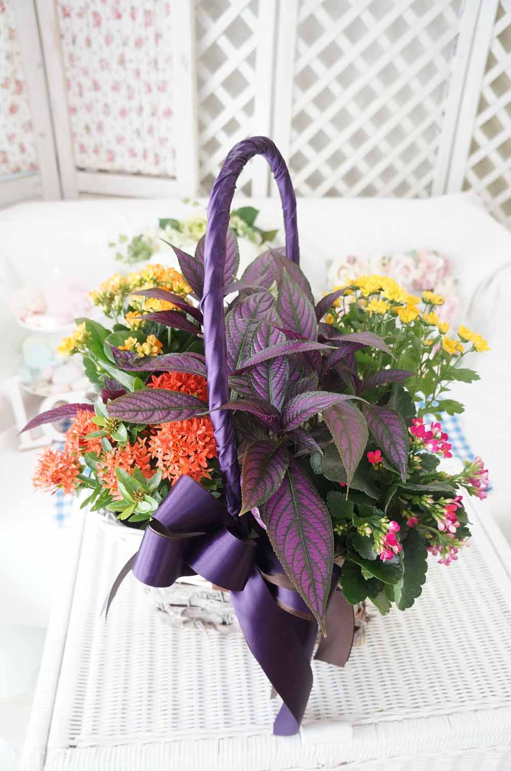 [ȭĹ]Garden gift basket -  It's always a good time!- ü  ɹ