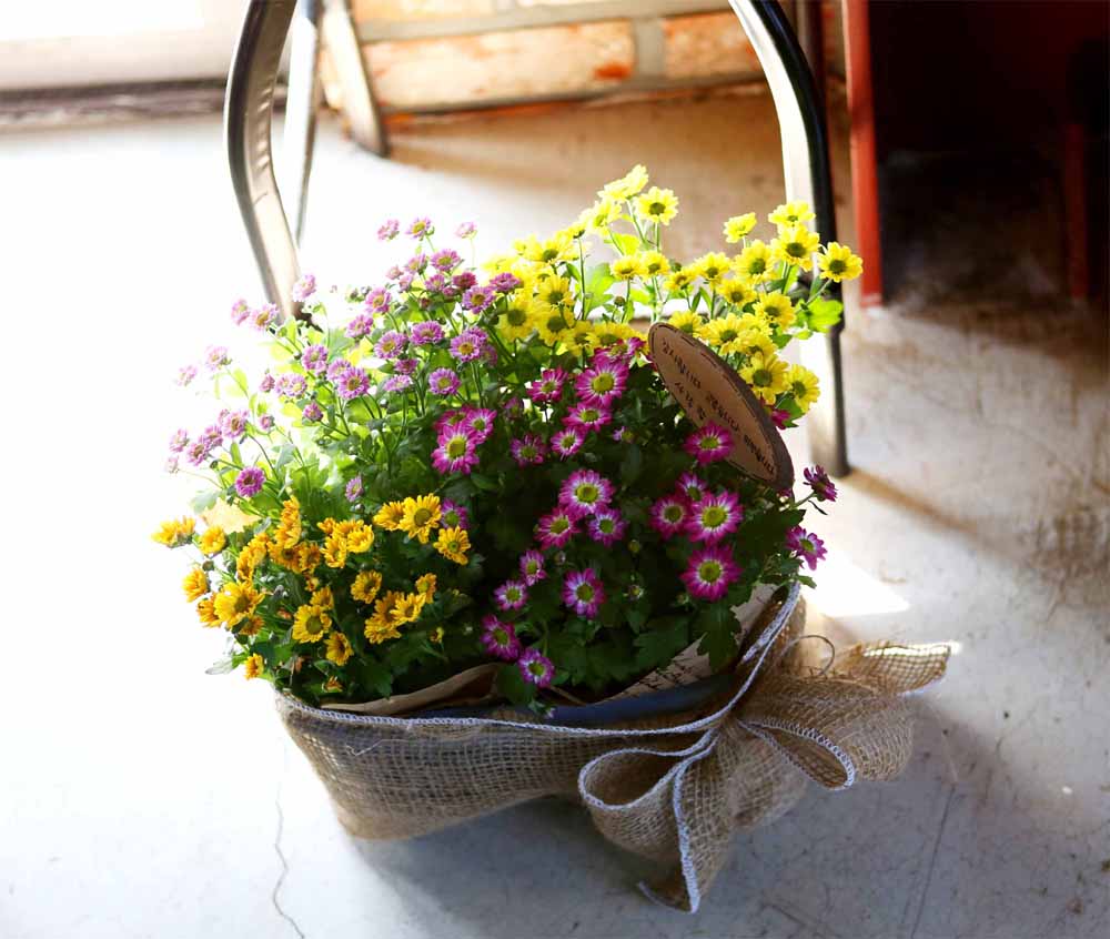 [ȭĹ]Garden gift basket - This is really cool looking!(   ü)  ɹ