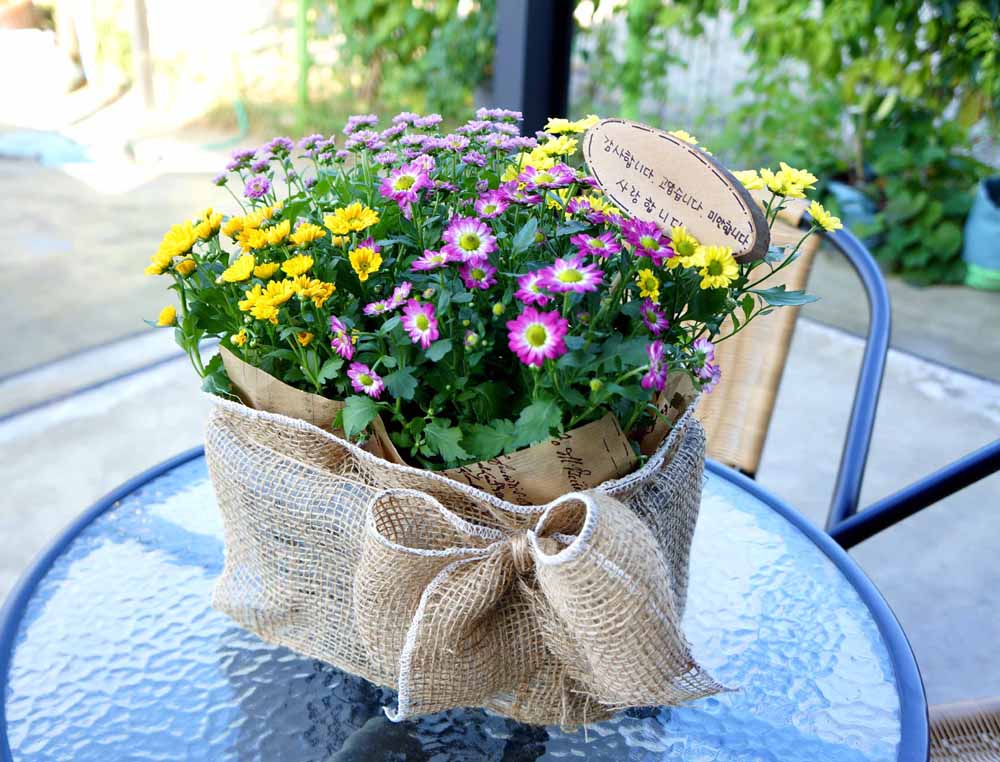 [ȭĹ]Garden gift basket - This is really cool looking!(   ü)  ɹ