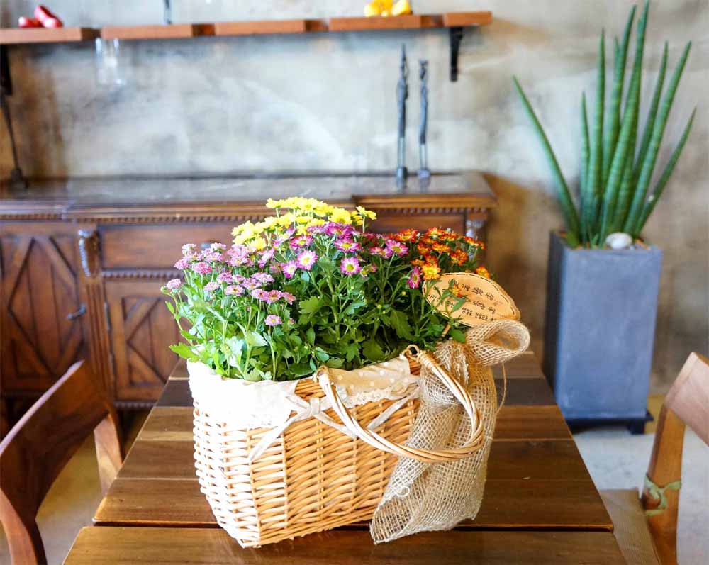 [ȭĹ]Garden gift basket - This is really cool looking!(   ü)  ɹ
