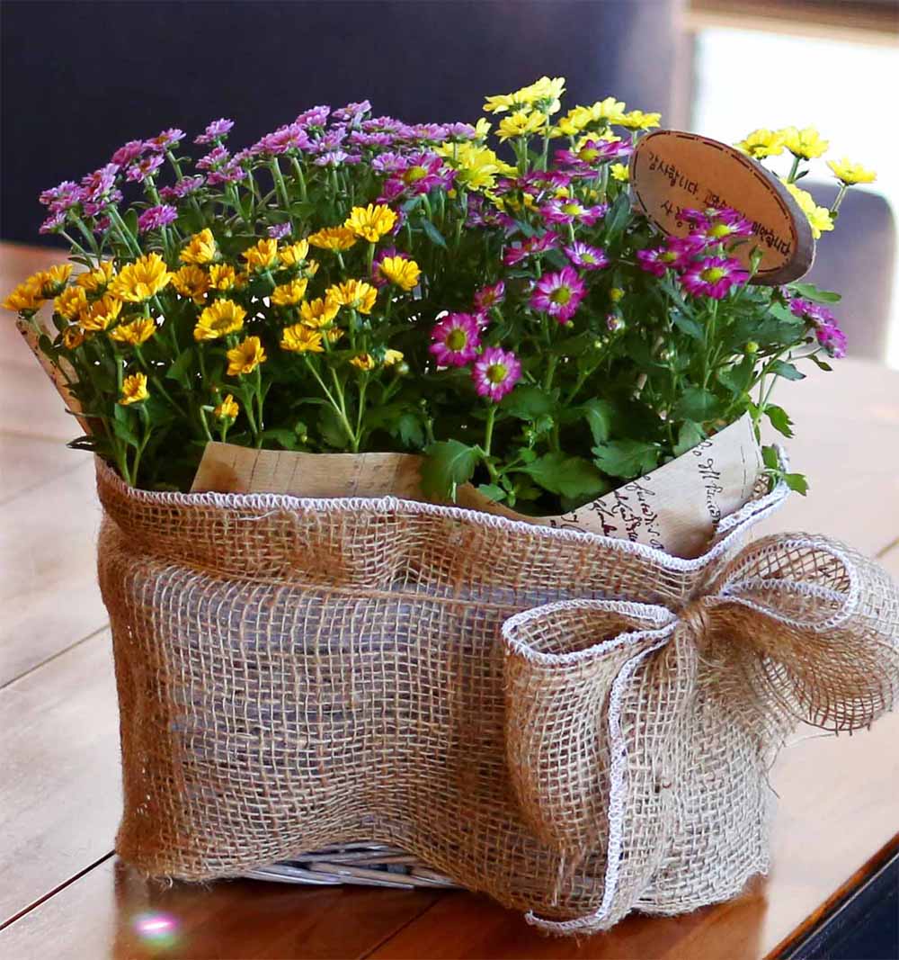 [ȭĹ]Garden gift basket - This is really cool looking!(   ü)  ɹ