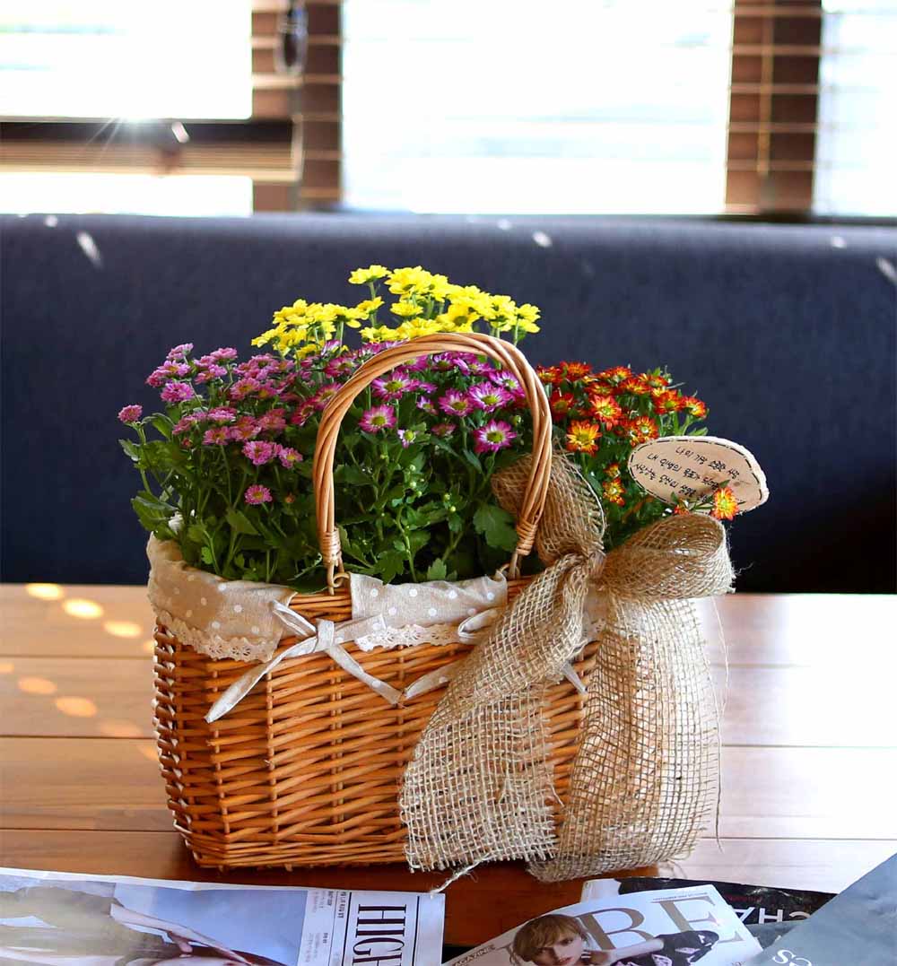 [ȭĹ]Garden gift basket - This is really cool looking!(   ü)  ɹ