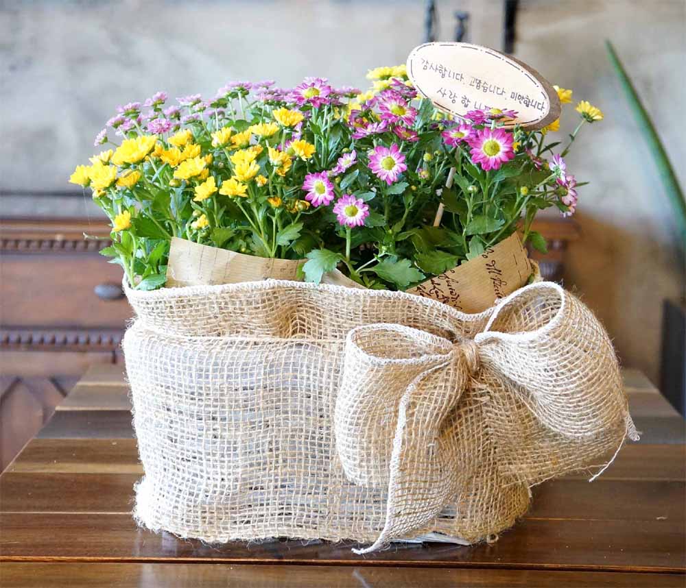 [ȭĹ]Garden gift basket - This is really cool looking!(   ü)  ɹ