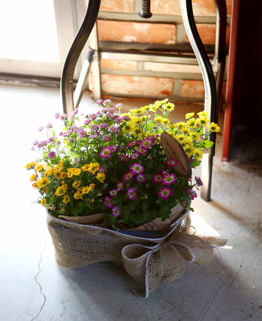 [ȭĹ]Garden gift basket - This is really cool looking!(   ü)  ɹ
