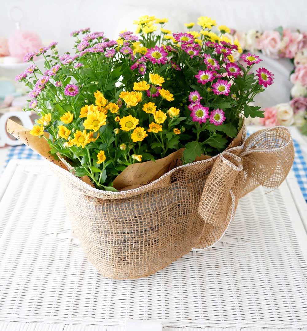 [ȭĹ]Garden gift basket - This is really cool looking!(   ü)  ɹ