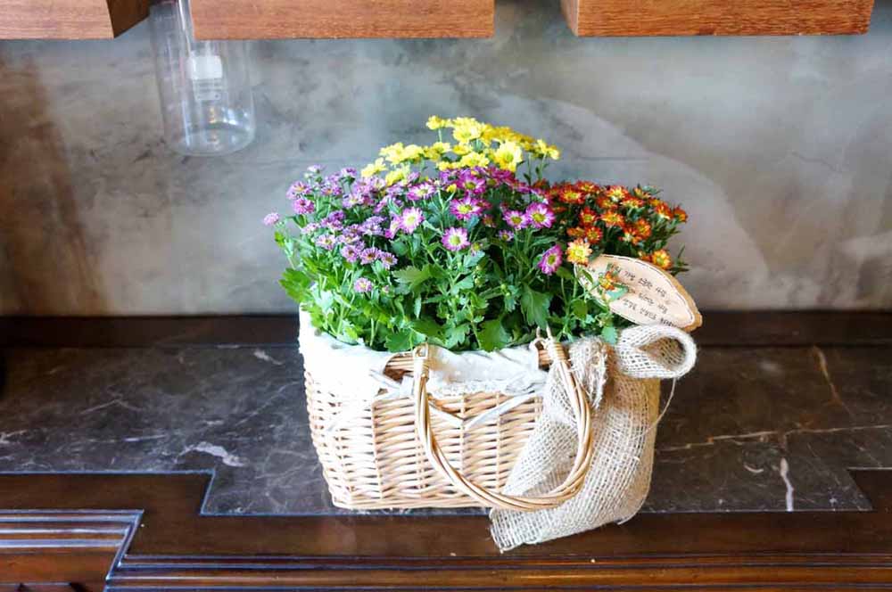 [ȭĹ]Garden gift basket - This is really cool looking!(   ü)  ɹ
