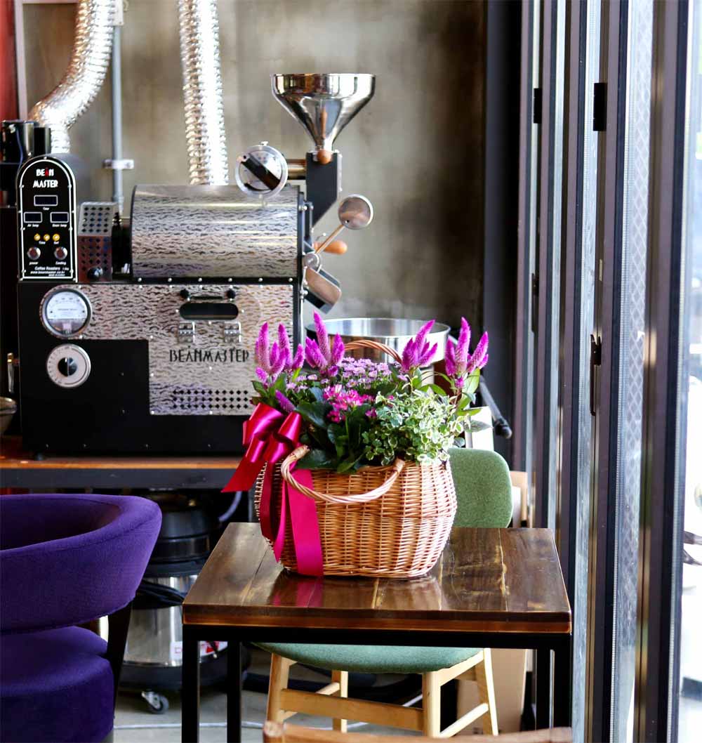 [ȭĹ]Garden gift basket - Can i do this in my apartment? Of course!!!- ü  ɹ