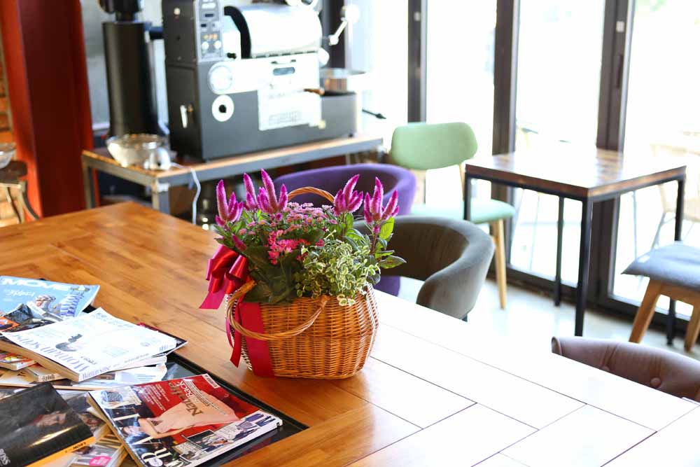 [ȭĹ]Garden gift basket - Can i do this in my apartment? Of course!!!- ü  ɹ