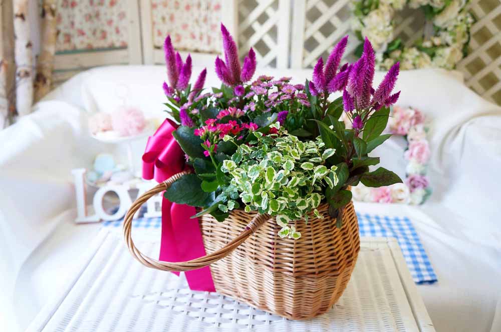 [ȭĹ]Garden gift basket - Can i do this in my apartment? Of course!!!- ü  ɹ