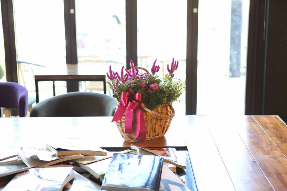 [ȭĹ]Garden gift basket - Can i do this in my apartment? Of course!!!- ü  ɹ