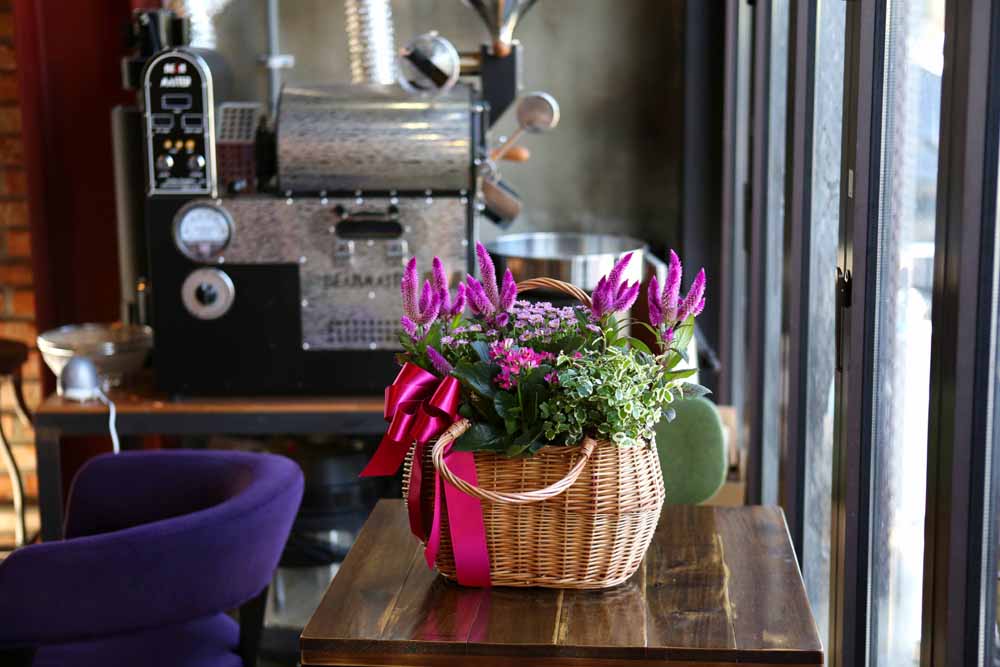 [ȭĹ]Garden gift basket - Can i do this in my apartment? Of course!!!- ü  ɹ