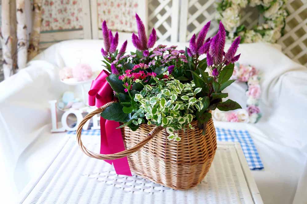 [ȭĹ]Garden gift basket - Can i do this in my apartment? Of course!!!- ü  ɹ