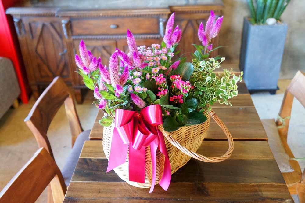 [ȭĹ]Garden gift basket - Can i do this in my apartment? Of course!!!- ü  ɹ