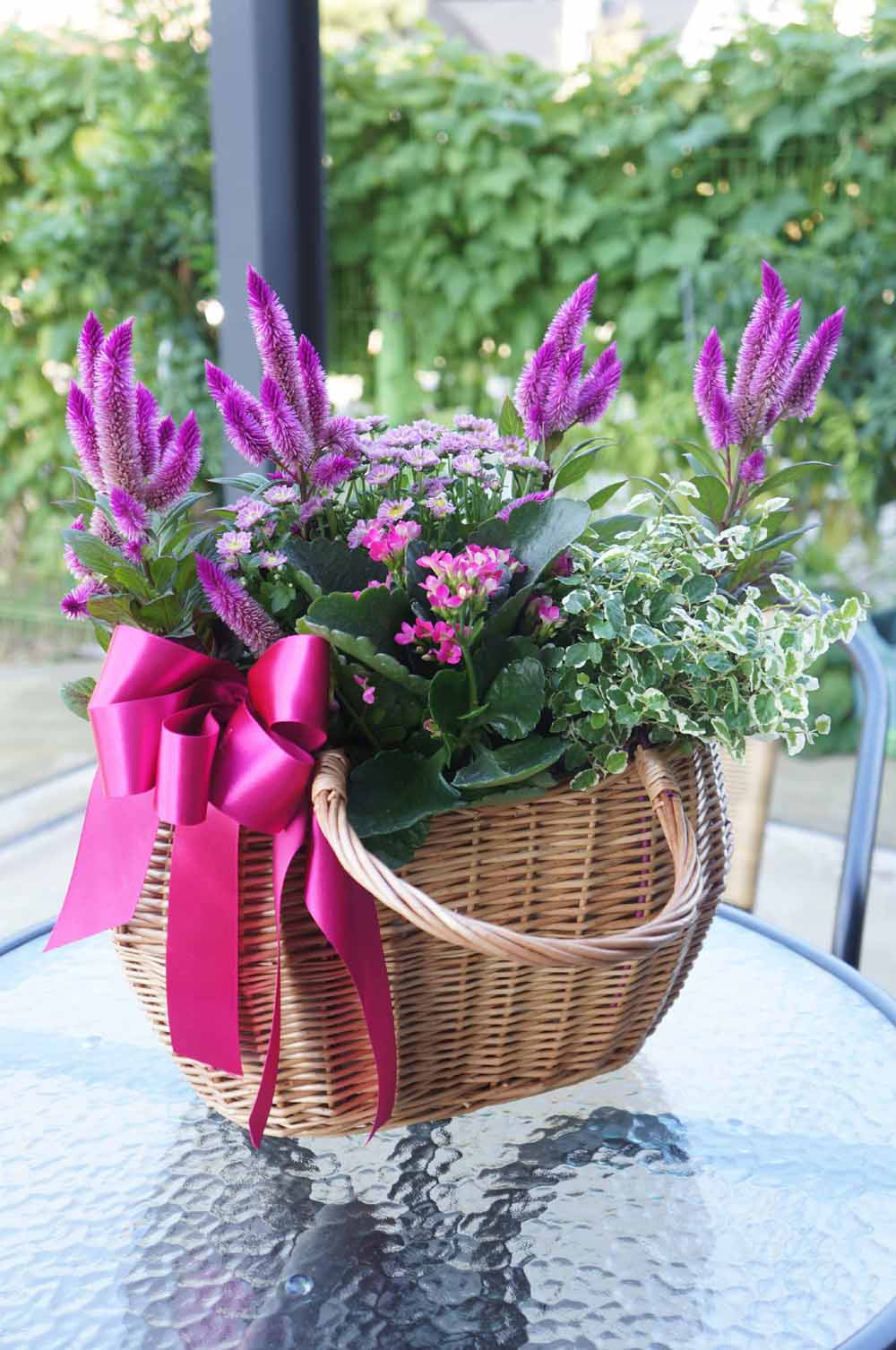 [ȭĹ]Garden gift basket - Can i do this in my apartment? Of course!!!- ü  ɹ