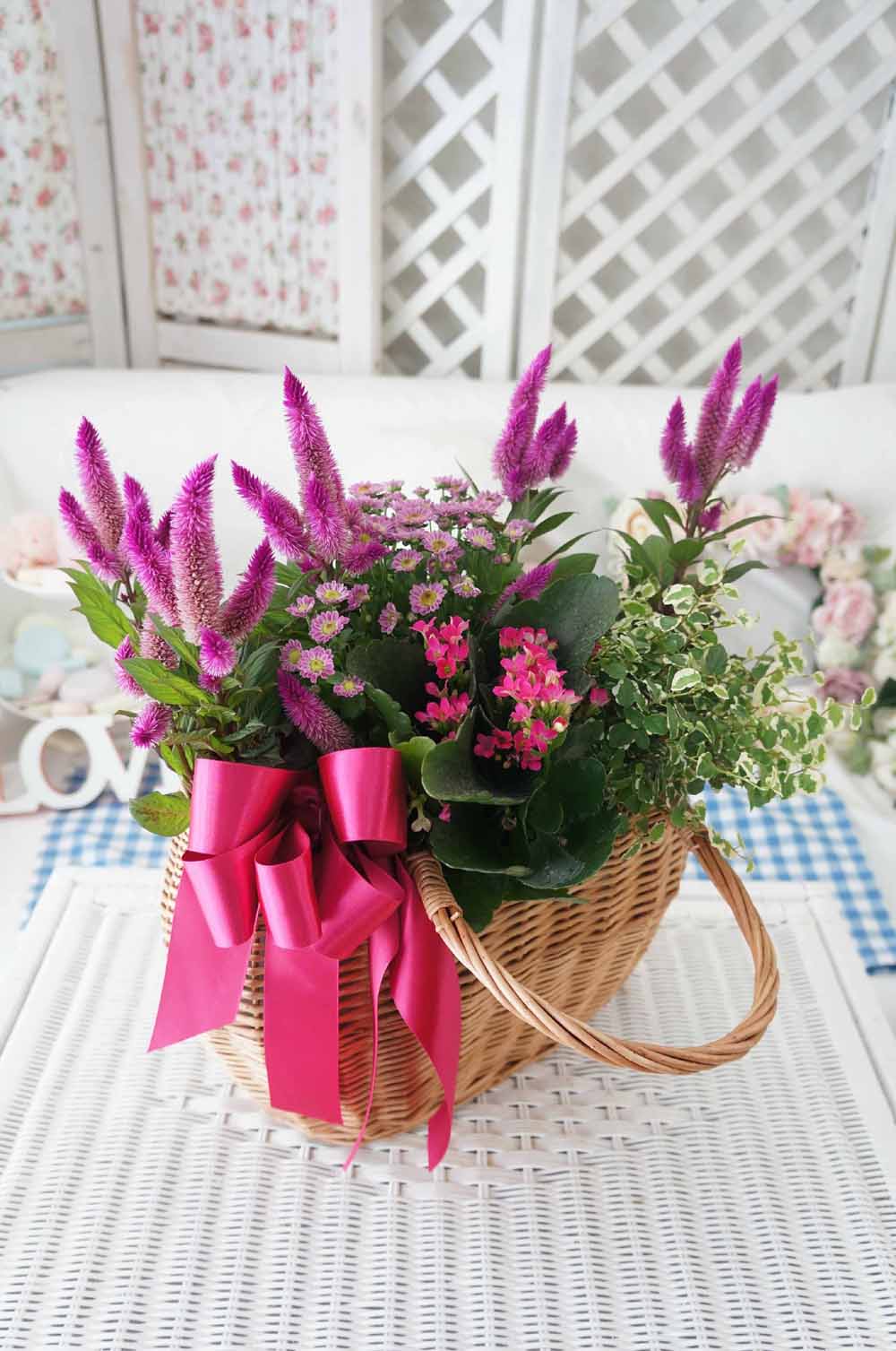 [ȭĹ]Garden gift basket - Can i do this in my apartment? Of course!!!- ü  ɹ