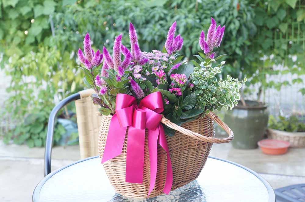 [ȭĹ]Garden gift basket - Can i do this in my apartment? Of course!!!- ü  ɹ
