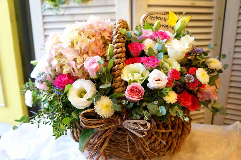 µû¶æÇÑ ¸» ÇѸ¶µð - ¿À´Ãµµ ÈÀÌÆÃ!!! ²ÉÁý ²É¹è´Þ