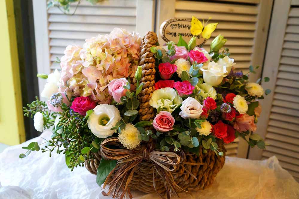 µû¶æÇÑ ¸» ÇѸ¶µð - ¿À´Ãµµ ÈÀÌÆÃ!!! ²ÉÁý ²É¹è´Þ