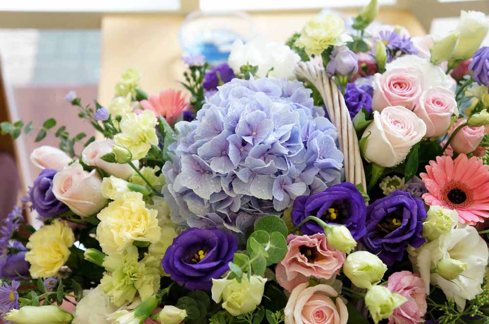 µû¶æÇÑ ¸» ÇѸ¶µð - ´ç½Å Âü ÁÁ¾ÆÇØ¿ä-¹Ù±¸´Ï°¡ º¯°æµË´Ï´Ù. ²ÉÁý ²É¹è´Þ