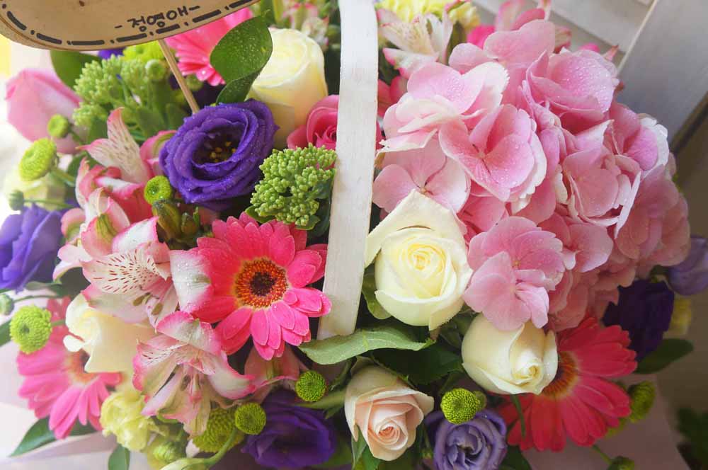 µû¶æÇÑ ¸» ÇѸ¶µð - ³»Ä£±¸ ¸ÚÁö´Ù ²ÉÁý ²É¹è´Þ