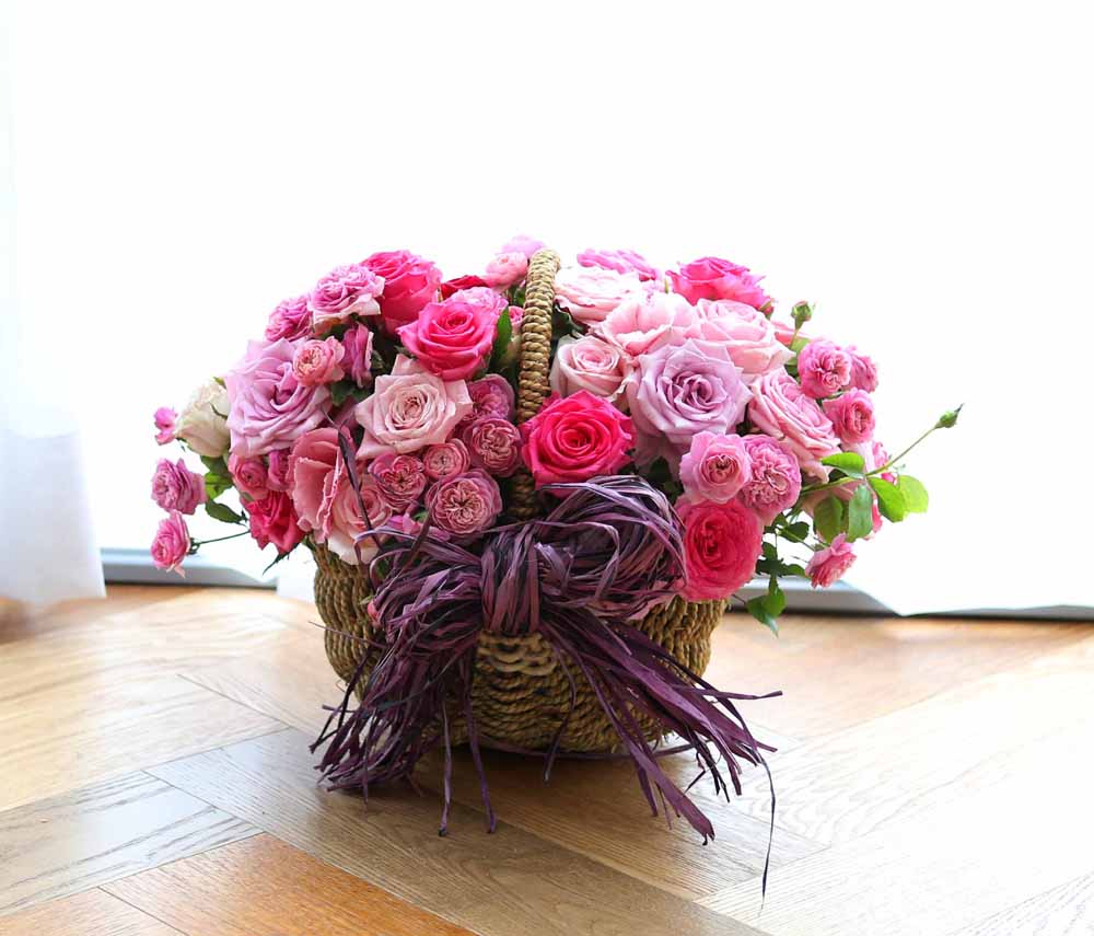 ε ̺Ʈ  -   ׻   ɹ