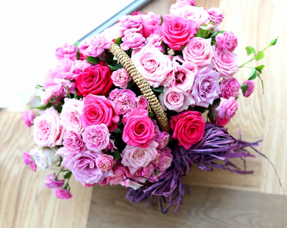 ε ̺Ʈ  -   ׻   ɹ