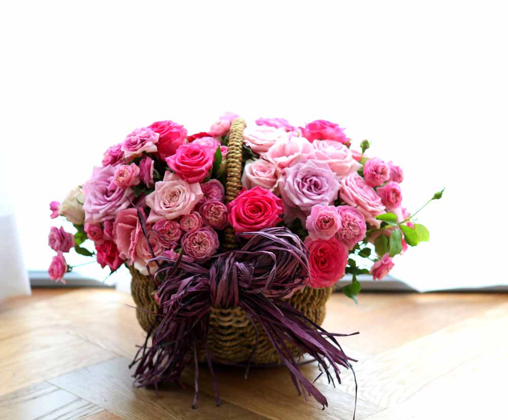 ε ̺Ʈ  -   ׻   ɹ