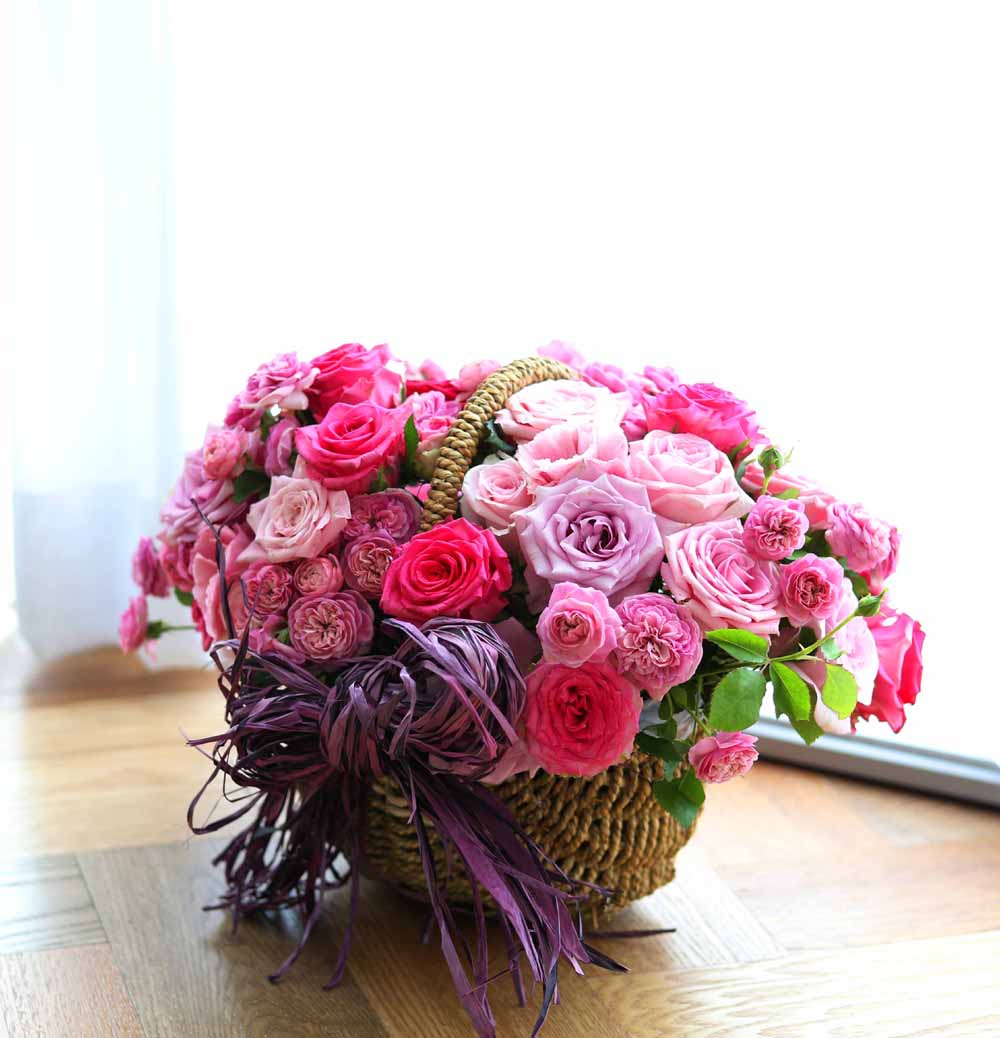 ε ̺Ʈ  -   ׻   ɹ