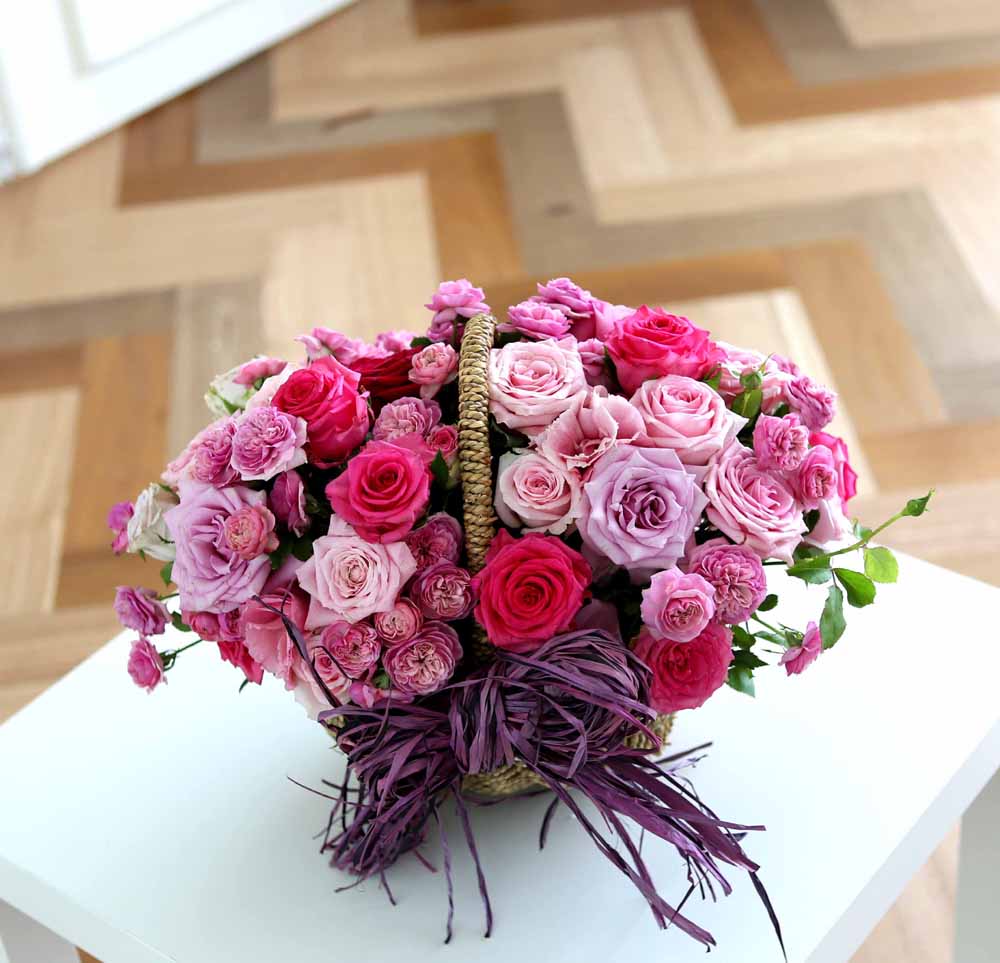 ε ̺Ʈ  -   ׻   ɹ