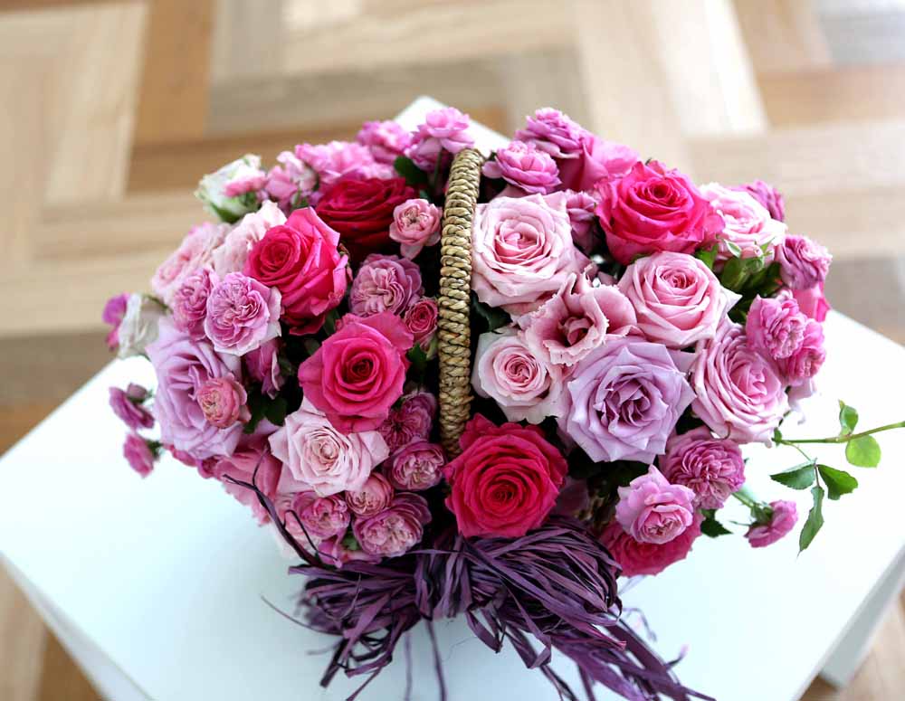 ε ̺Ʈ  -   ׻   ɹ