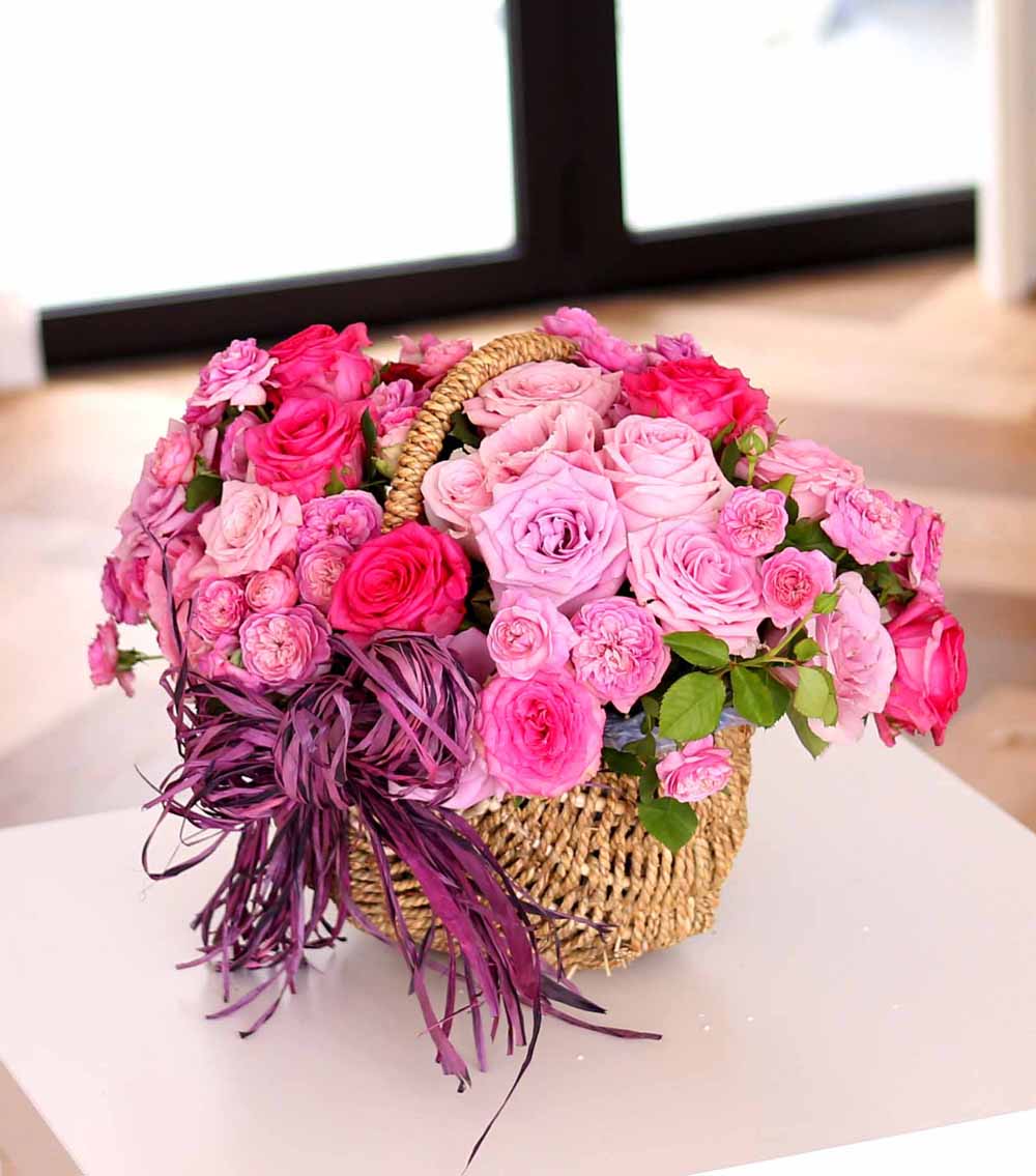 ε ̺Ʈ  -   ׻   ɹ