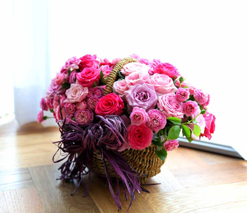 ε ̺Ʈ  -   ׻   ɹ