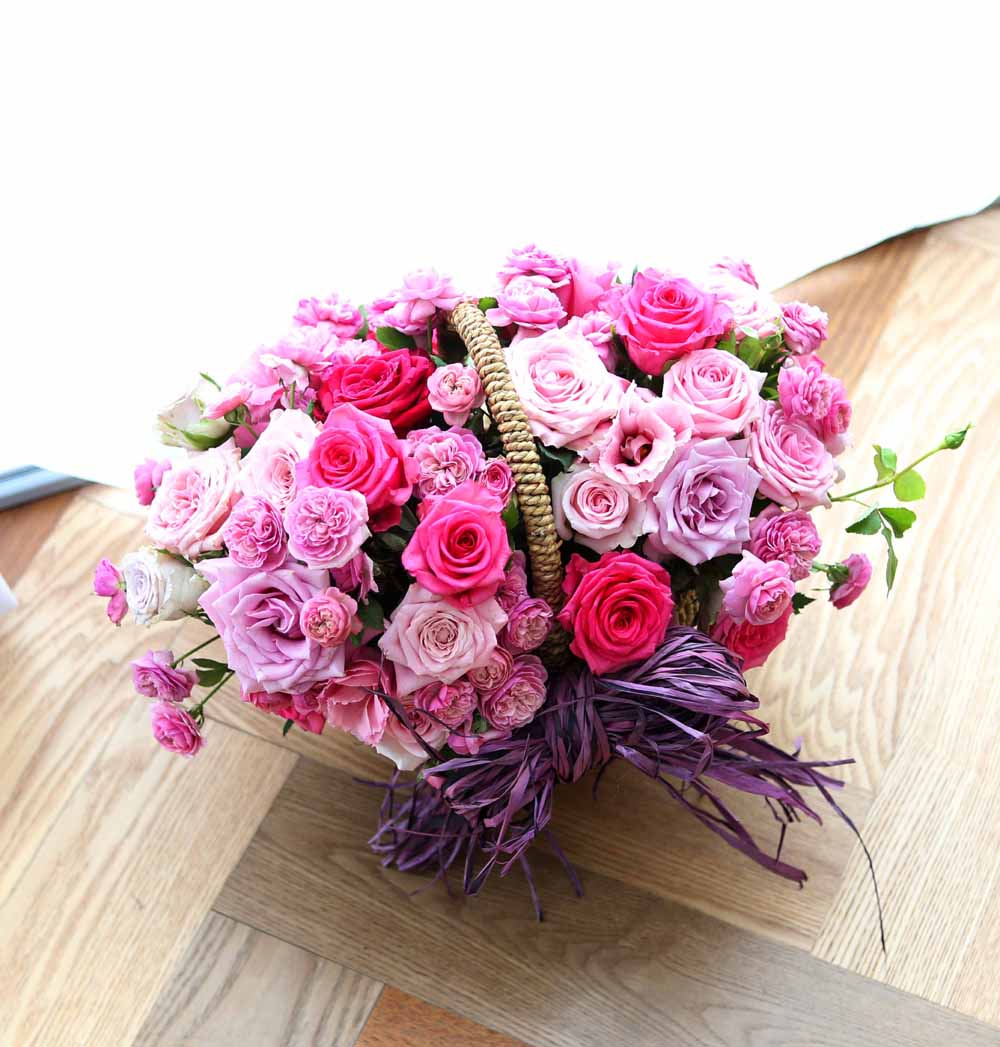 ε ̺Ʈ  -   ׻   ɹ