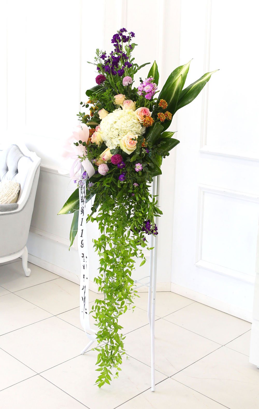 ǰִ   ȭȯ - ﰡ   ϴ  ɹ