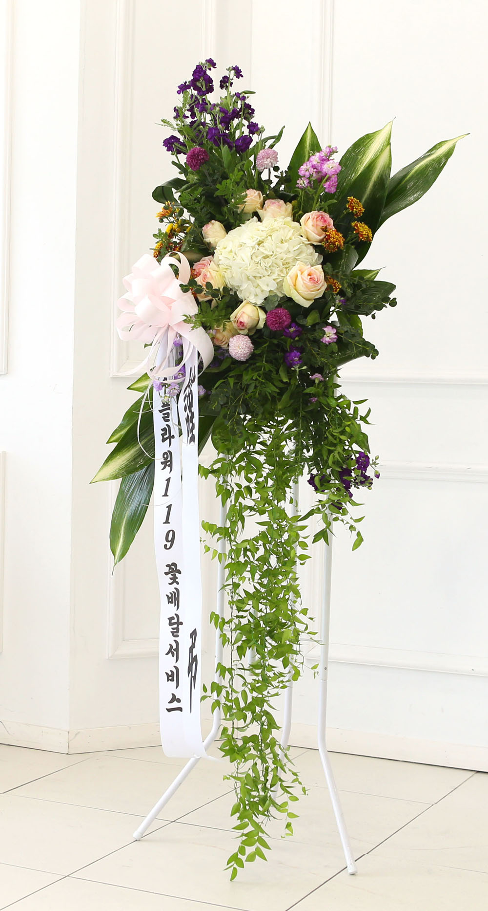 ǰִ   ȭȯ - ﰡ   ϴ  ɹ