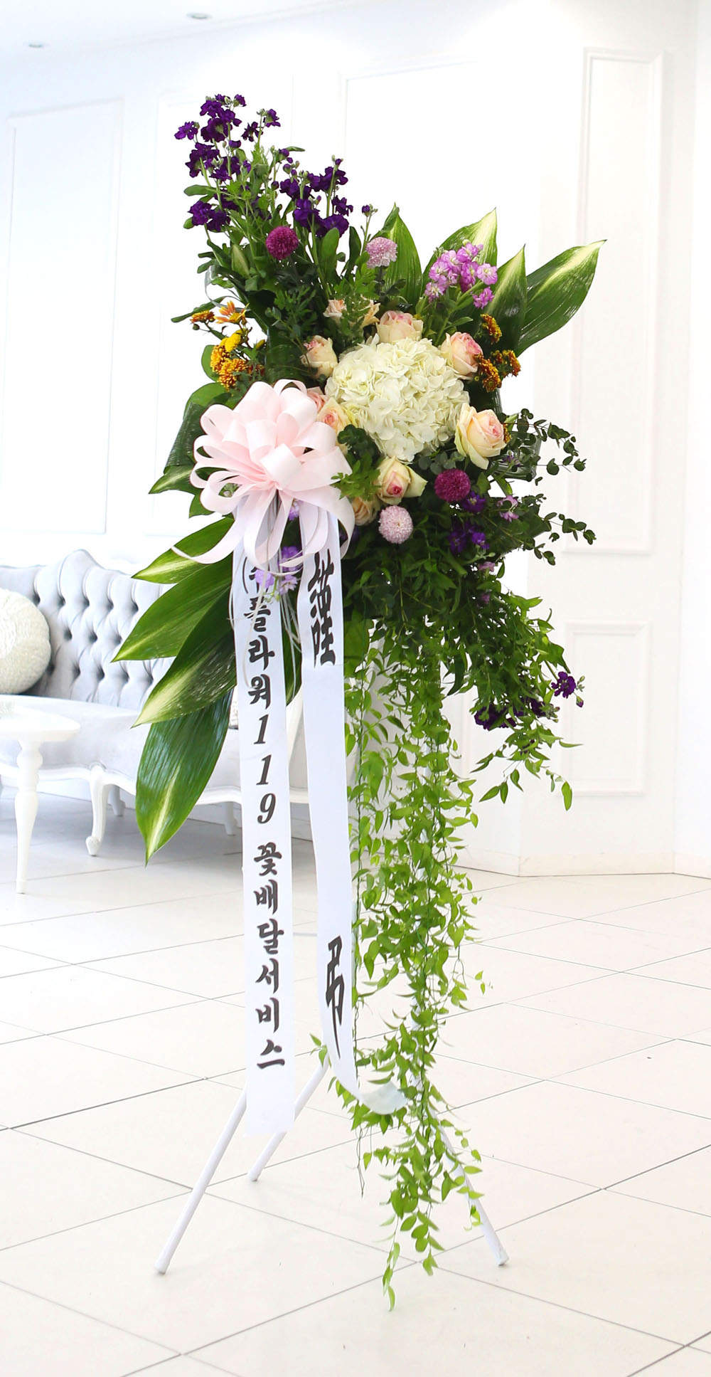 ǰִ   ȭȯ - ﰡ   ϴ  ɹ