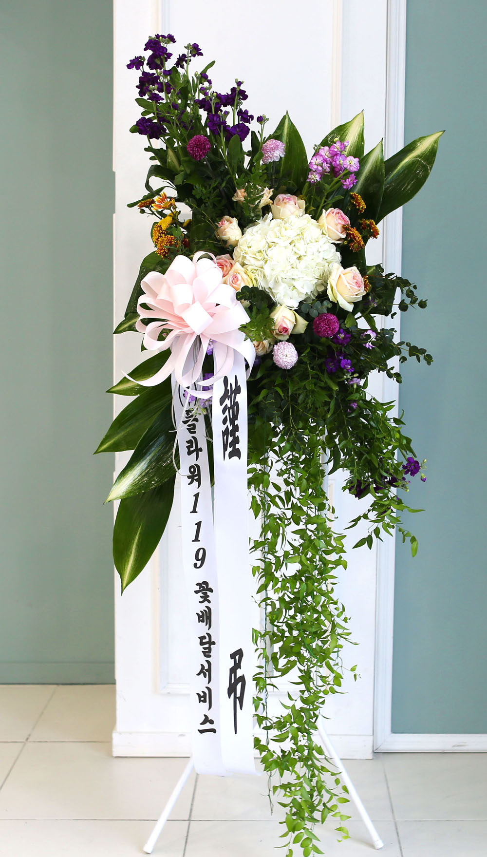 ǰִ   ȭȯ - ﰡ   ϴ  ɹ